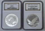 2 2008 Bald Eagle Commemorative Dollar Slabs NGC - MS69 and PF 69 Ultra Cameo