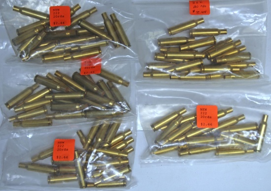 100 New Rounds .222 Brass for Reloading