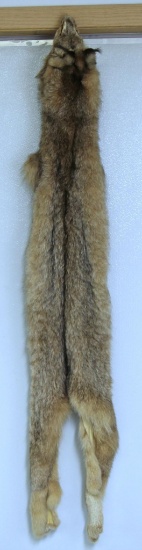 Taxidermy Tanned Alaskan Lynx Fur 44" Nose to Tail