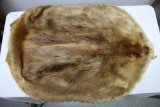 Taxidermy Tanned Beaver Fur 33