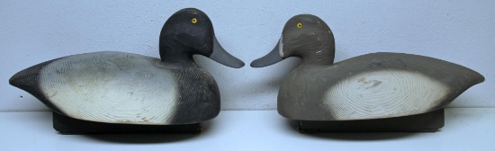 Pair Herter's Oversized Blue Bill Duck Decoys, Herter's Decoy Co., Waseca, MN., Never Used...