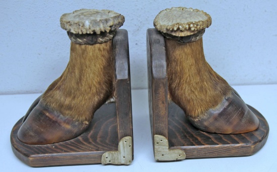 Pair of Old Elk Hoof Bookends Topped with Slice of Antler Base and Braided Leather, Beautiful