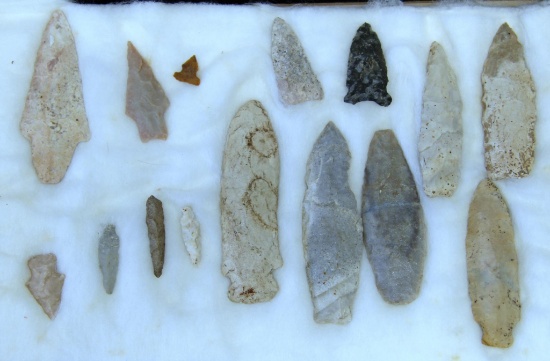 Native American Indian Arrowheads, Drills, Tools from Missouri in 12" x 8" Riker Frame...
