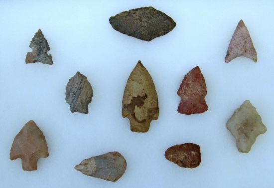 Native American Indian Arrowheads, Knives, Scrapers in 12" x 8" Riker Frame......