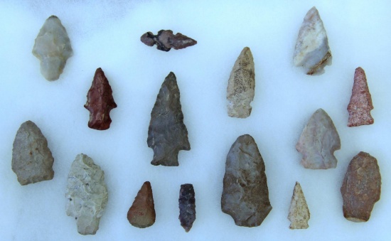 Native American Indian Arrowheads, Knives, Scrapers in 12" x 8" Riker Frame...