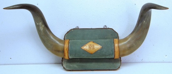 Mounted Steer Horns, 22" Wide...