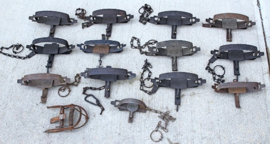 12 Large Double Spring Traps, Some Variations, Most are Old Blake and Lamb No. 44's -... Small Blake