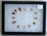 Riker Frame of 13 Native American Indian Bird Point Arrowheads...