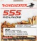 Winchester 555 Round Brick of .22 LR Hollow Point