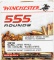 Winchester 555 Round Brick of .22 LR Hollow Point