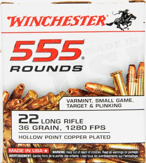 Winchester 555 Round Brick of .22 LR Hollow Point