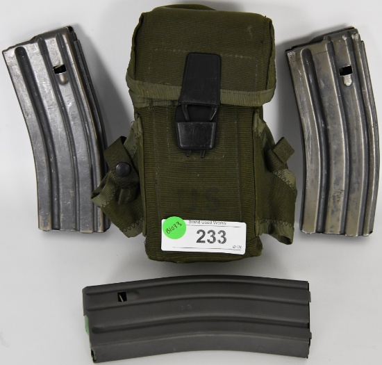 3 AR Magazines w/ US Marked Mag Case