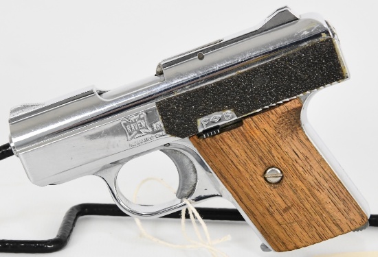 Raven Arms MP-25 Semi Auto Pistol .25 Auto