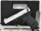 Walther PK380 .380 ACP Nickel Semi Auto Pistol
