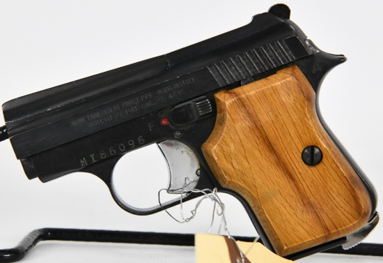 Armi Tangfolio Model GT27 Semi Auto .25 ACP