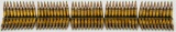 100 Rounds of 5.56X45 NATO Green Tip XM855