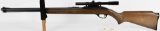 Marlin Glenfield Model 60 .22 LR Tube RIfle