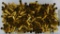 2.5 Lbs Of Misc .44-40 Empty Brass Casings For