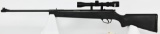 Daisy Powerline Model 1000 Break action Plt rifle