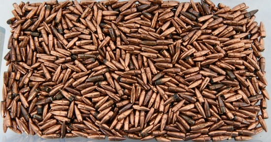 .223 Cal (.224) Armscor 55gr FMJ-BT- 1000 CT