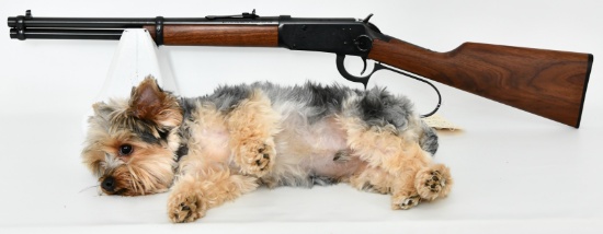 Gun Collectors Dream Auction #46 NO RESERVES
