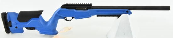 Custom Ruger 10/22 Semi Auto Rifle Build .22 LR