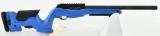 Custom Ruger 10/22 Semi Auto Rifle Build .22 LR