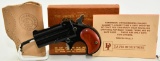 Davis Industries D-32 Derringer Pocket Pistol .32