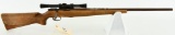 Remington Model 510 Targetmaster .22 Bolt Action