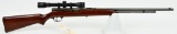 Savage Model 6A Semi Auto Rifle .22 S, L, LR