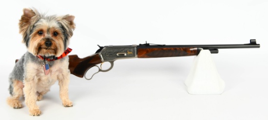 Gun Collectors Dream Auction #65 Day 1 NO RESERVES