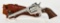 Ruger Stainless New Model Single Six .22 Magnum