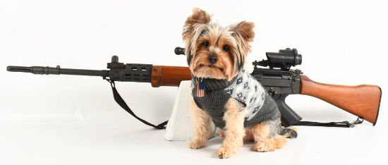 Gun Collectors Dream Auction #72 DAY 1 NO RESERVES