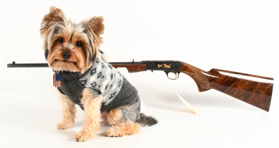 Gun Collectors Dream Auction #72 DAY 2 NO RESERVES