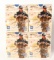 40 Rounds Of ZSR American Sniper 12 Ga Shotshells