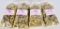 1200 Ct Of Empty .223 Rem Brass Casings