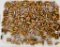 200 Rounds Of Mixed .40 S&W HP Ammunition