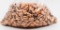 500 Count Of .45 Caliber JHP Reloading Bullet Tips