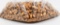 500 Count Of 9mm Luger Reloading Bullet Tips