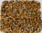 500 Rounds Of Mixed 9mm Luger HP Ammo