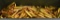 500 Rounds Of PMC .223 Rem Ammunition