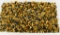 1000 Rounds Of Winchester M22 .22 LR Ammo