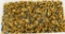1000 Rds Of Winchester Super-X .22 LR Ammunition