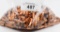 300 Count Of Mixed .338 Caliber Bullet Tips