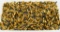 1000 Rds Of Winchester Super-X .22 LR Ammunition