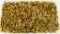 1000 Rounds Of Federal .22 LR Ammunition
