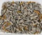 300 Rounds Of Mixed .38 Special Ammunition
