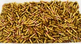 1000 Rounds of CCI Mini Mag .22 LR Ammo