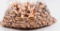 500 Count Of .45 Caliber JHP Reloading Bullet Tips