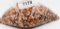 1000 Count Of 9mm/380 Reloading Bullet Tips